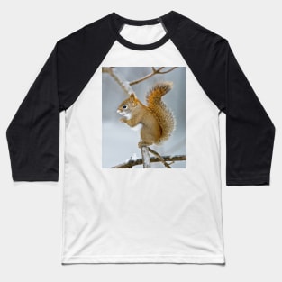 Red Squirrel Baseball T-Shirt